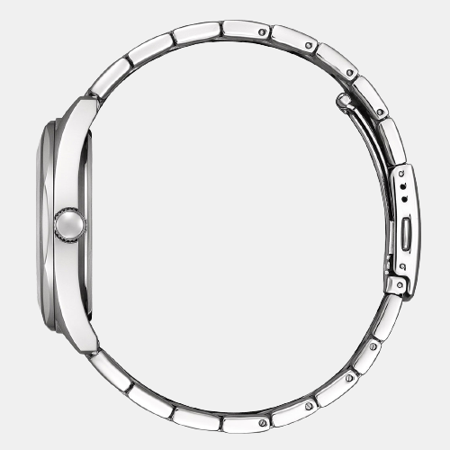 Male Analog Stainless Steel Watch BI5110-54E