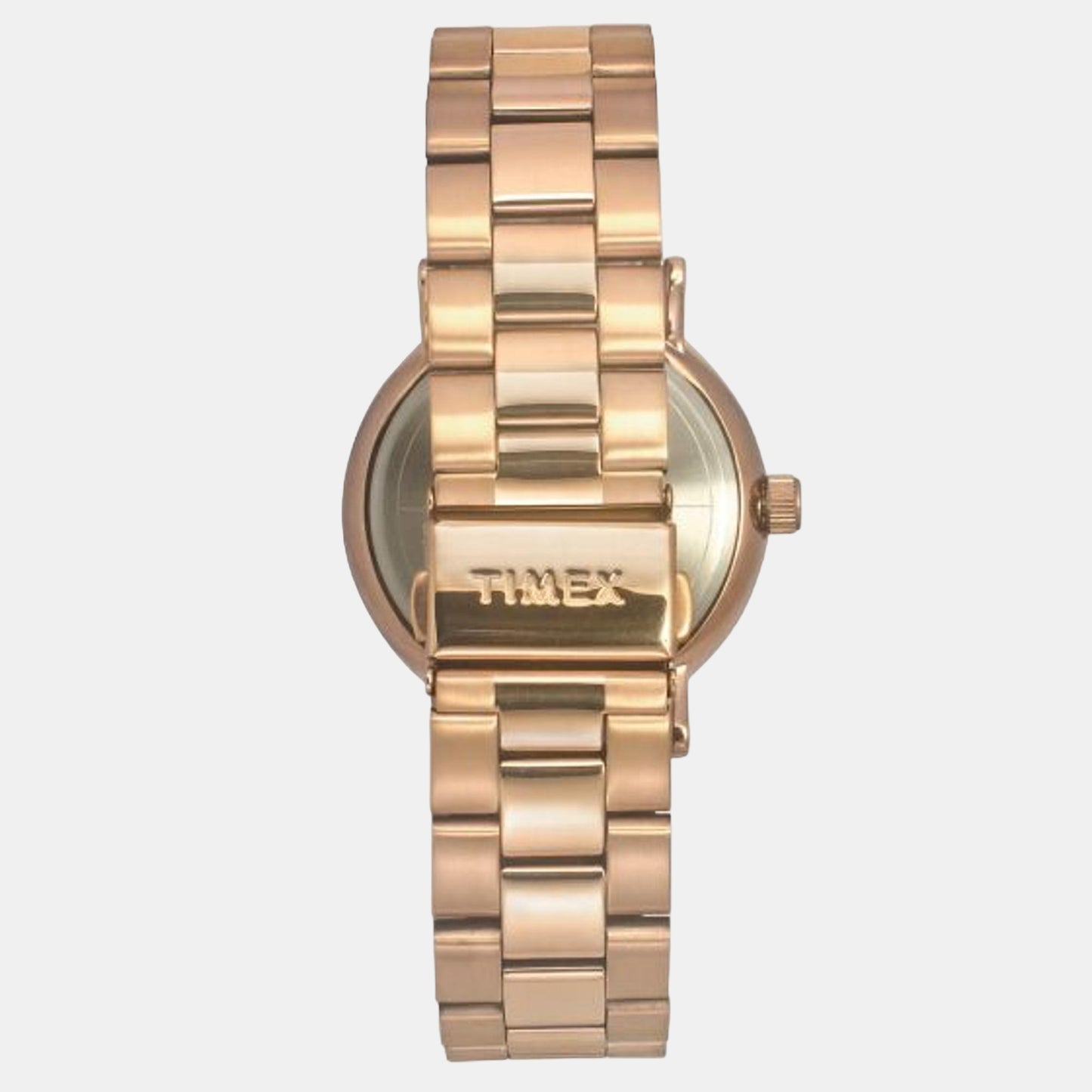 Male Analog Stainless Steel Watch TWEG20018