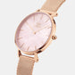 Petite Female Mother Of Pearl Analog Stainless Steel Watch DW00100516