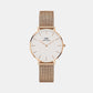 Petite Female White Analog Stainless Steel Watch DW00100163