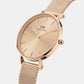 Petite Unisex Rose Gold Analog Stainless Steel Watch DW00100472K