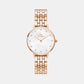 Petite Female Mother Of Pearl Analog Stainless Steel Watch DW00100613K