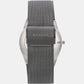 Male Grey Analog Stainless Steel Watch SKW6078