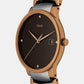 rado-stainless-steel-brown-analog-unisex-adult-watch-r30554743