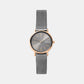 Female Grey Analog Stainless Steel Watch SKW2996