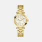 Female White Analog Stainless Steel Watch Y92002L1MF