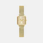 Leonor Women Quartz Gold Dial Analog Stainless Steel Watch 072J542