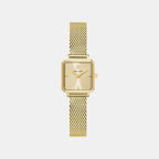 Leonor Women Quartz Gold Dial Analog Mesh Watch 072J542