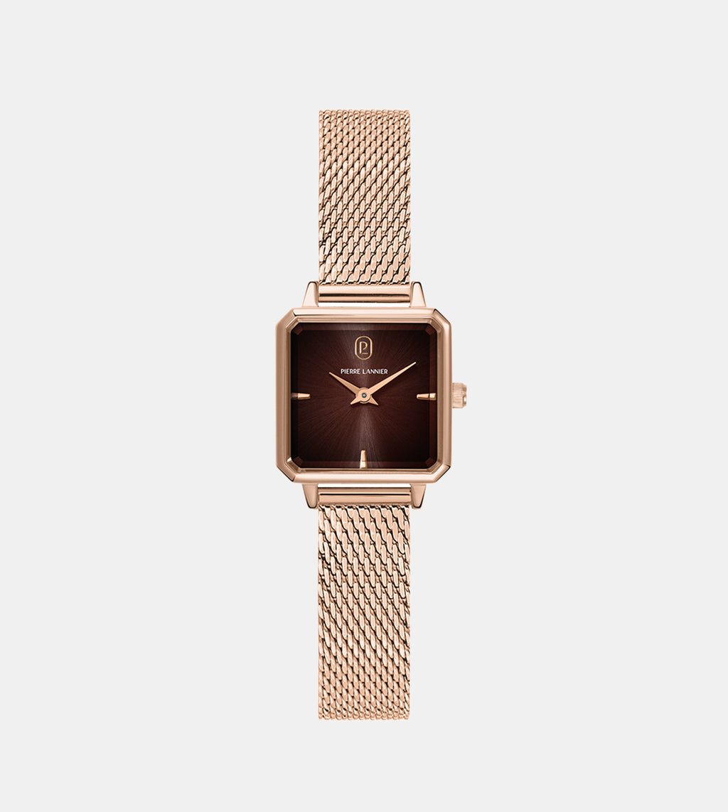 Leonor Women Quartz Brown Dial Analog Stainless Steel Watch 072J788