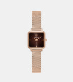 Leonor Women Quartz Brown Dial Analog Stainless Steel Watch 072J788