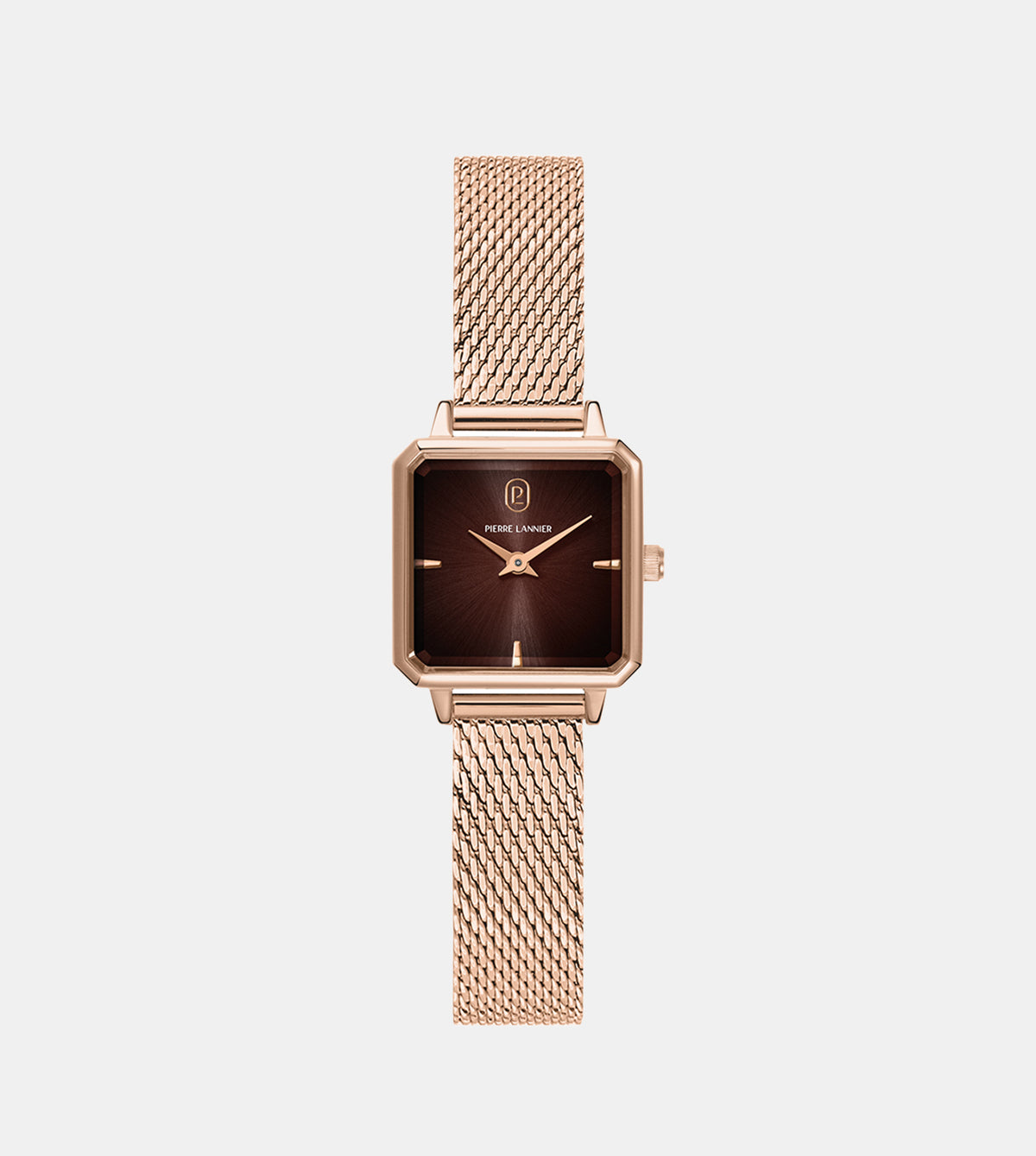 Leonor Women Quartz Brown Dial Analog Stainless Steel Watch 072J788
