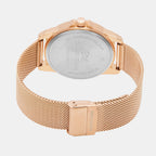 Darren Clark Brass Round watch
