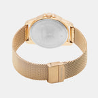 Darren Clark Brass Round watch