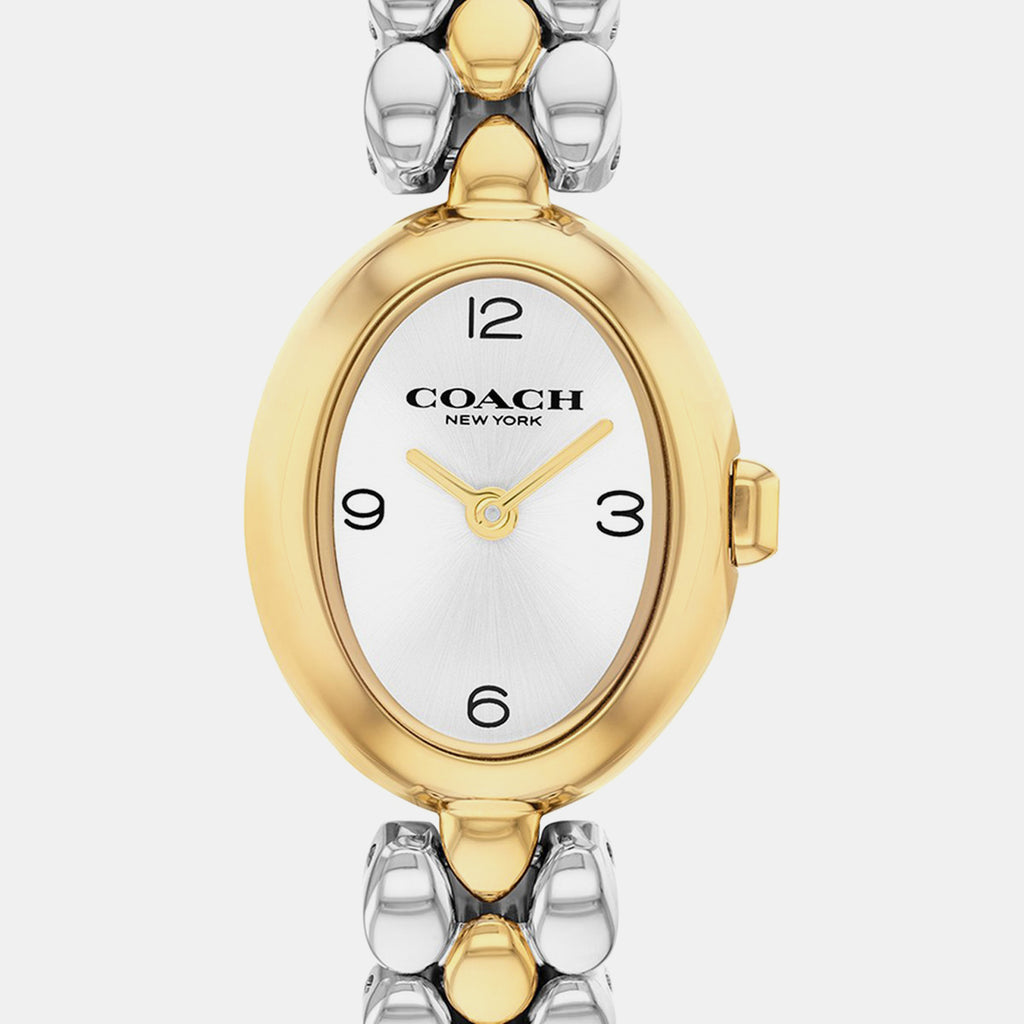 Sammy Women Quartz Silver Dial Analog Stainless Steel Watch 14000128
