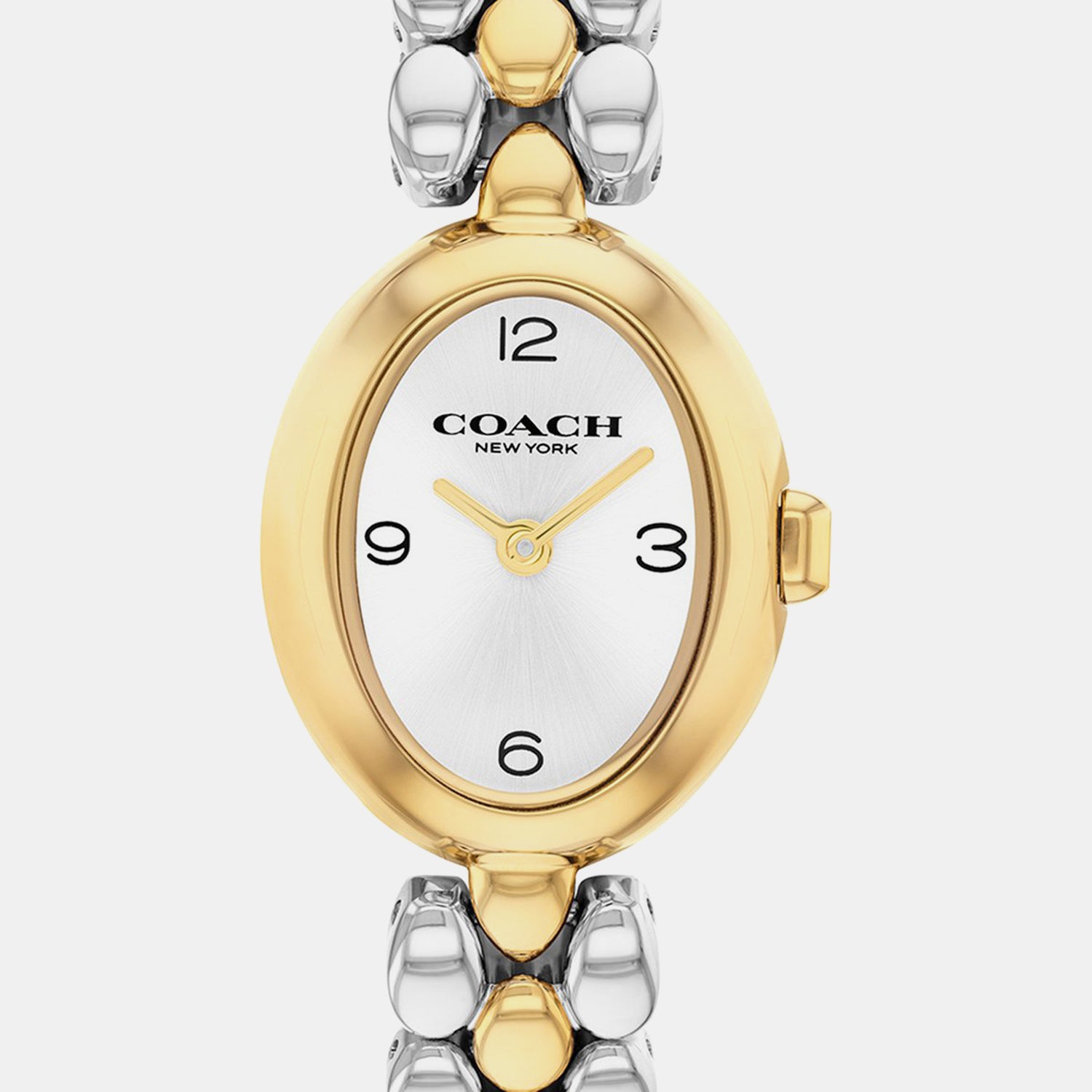 Sammy Women Quartz Silver Dial Analog Stainless Steel Watch 14000128