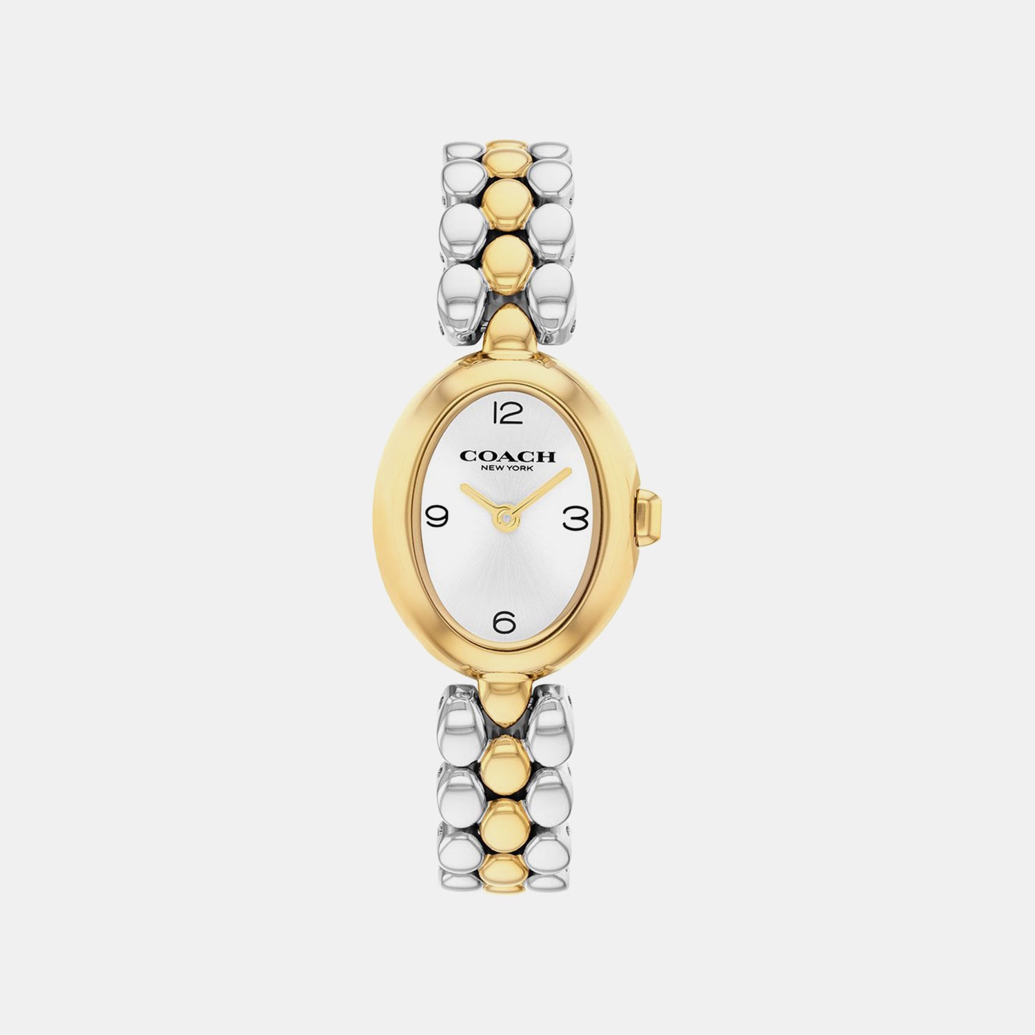 Sammy Women Quartz Silver Dial Analog Stainless Steel Watch 14000128