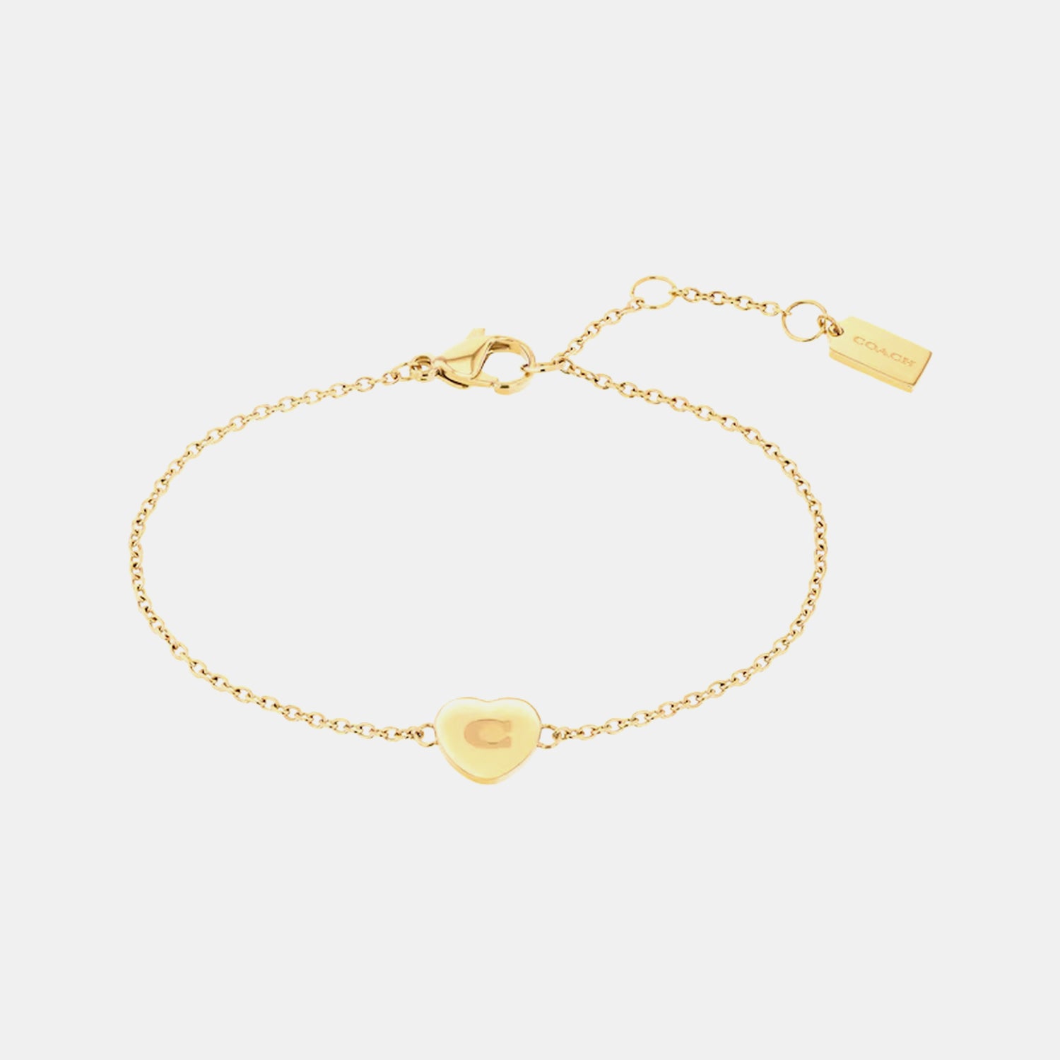 Elliot Women Quartz Silver Dial Analog Leather Watch 14000137