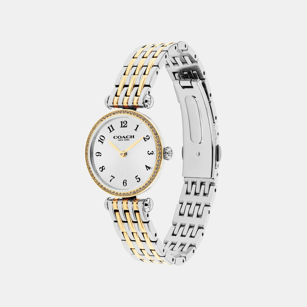 Cary Women Quartz Silver Dial Analog Stainless Steel Watch 14000140