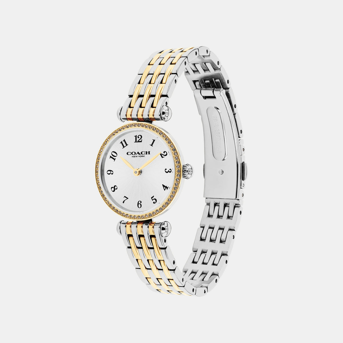Cary Women Quartz Silver Dial Analog Stainless Steel Watch 14000140
