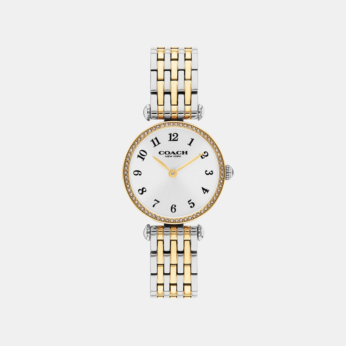 Cary Women Quartz Silver Dial Analog Stainless Steel Watch 14000140
