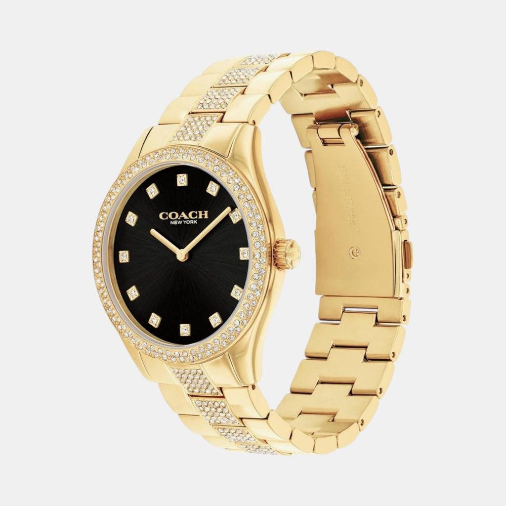 Brooks Unisex Quartz Black Dial Analog Stainless Steel Watch 14400035