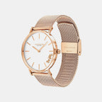Perry Women Quartz Silver Dial Analog Mesh Watch 14503126