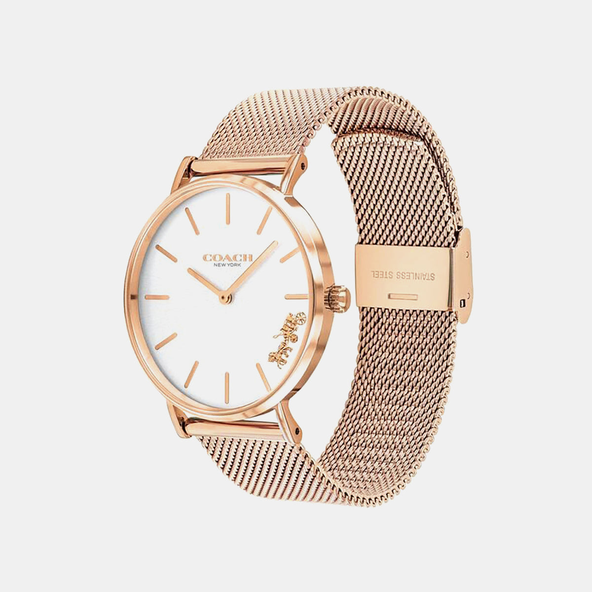 Perry Women Quartz Silver Dial Analog Mesh Watch 14503126