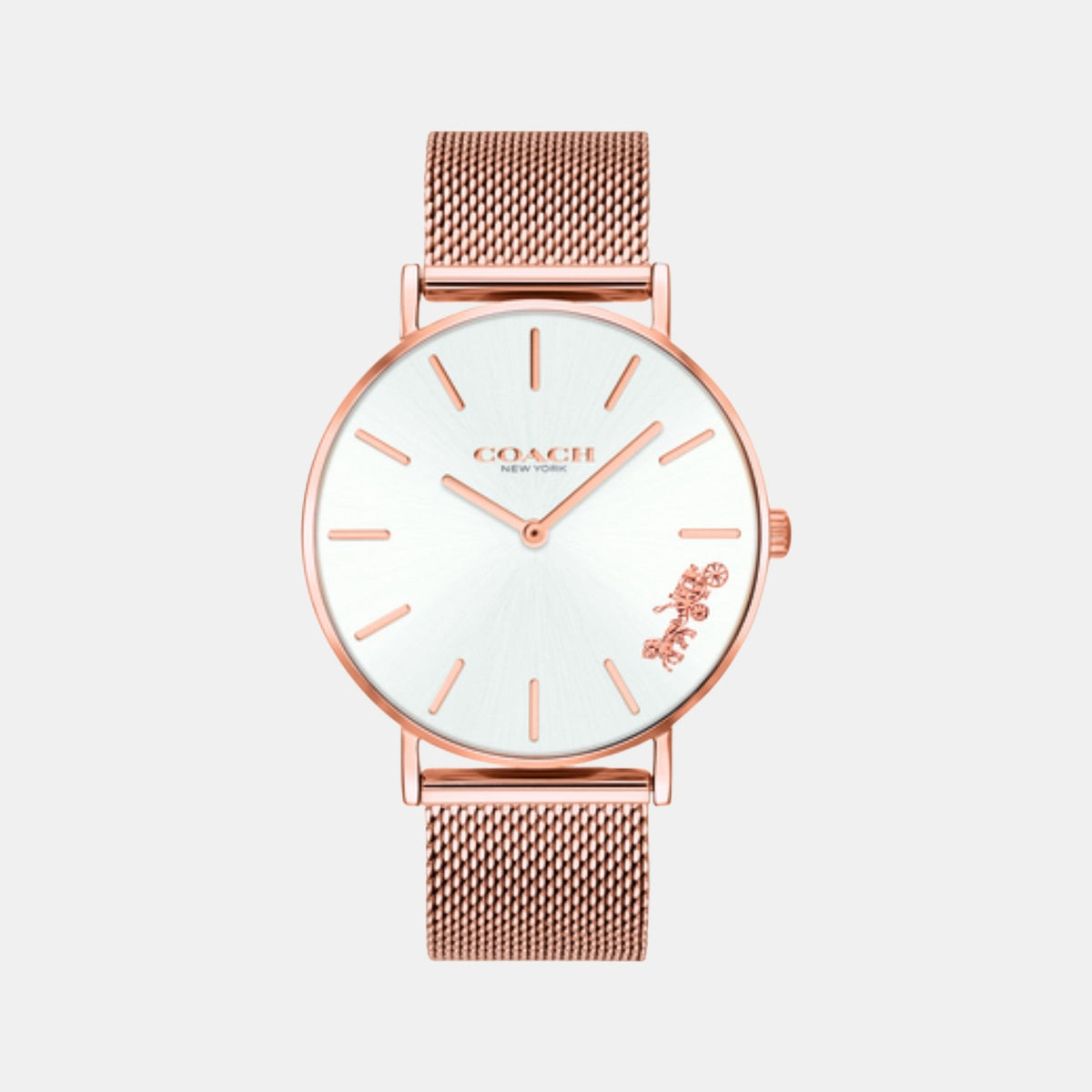 Perry Women Quartz Silver Dial Analog Mesh Watch 14503126