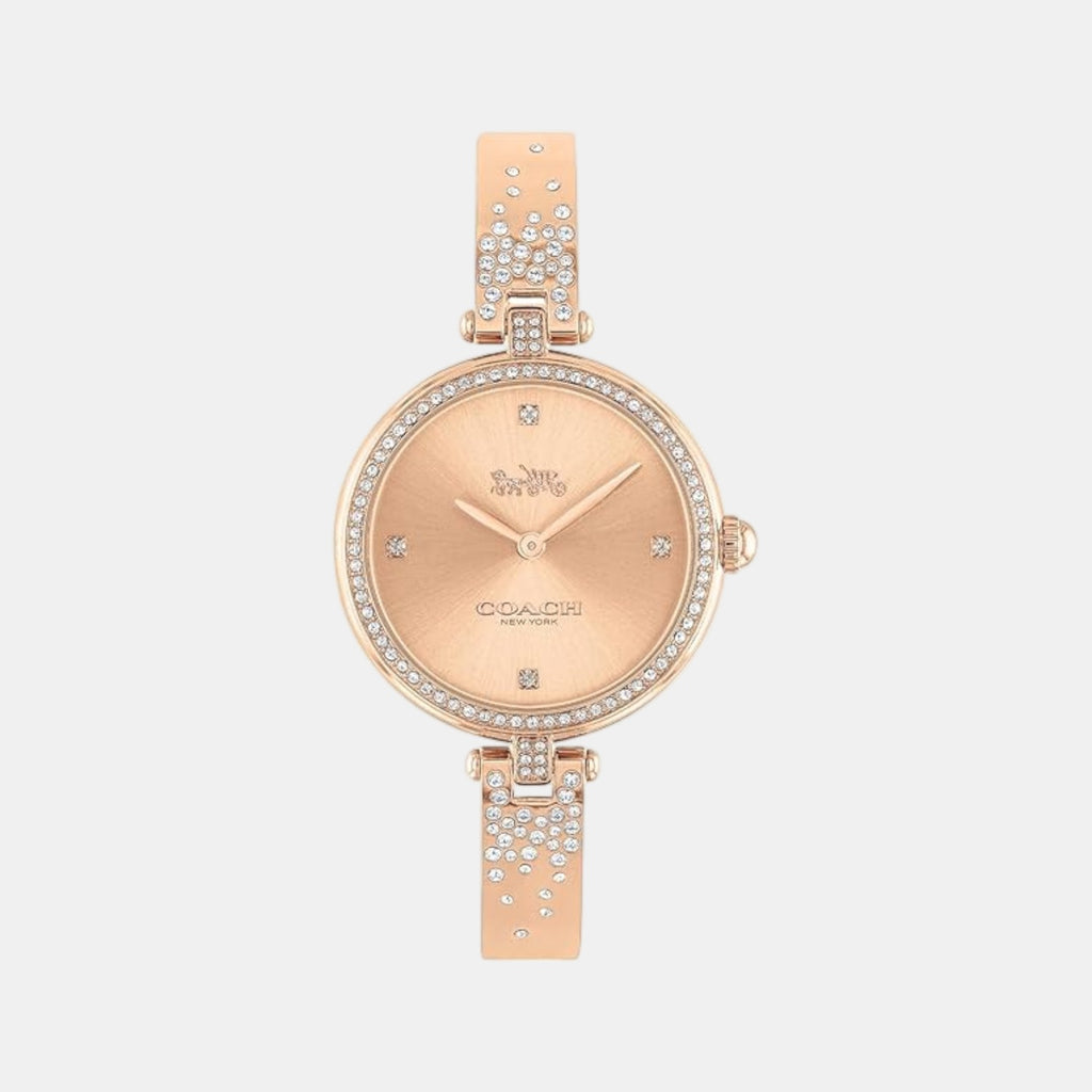 Park Women Quartz Rose Gold Dial Analog Stainless Steel Watch 14503651