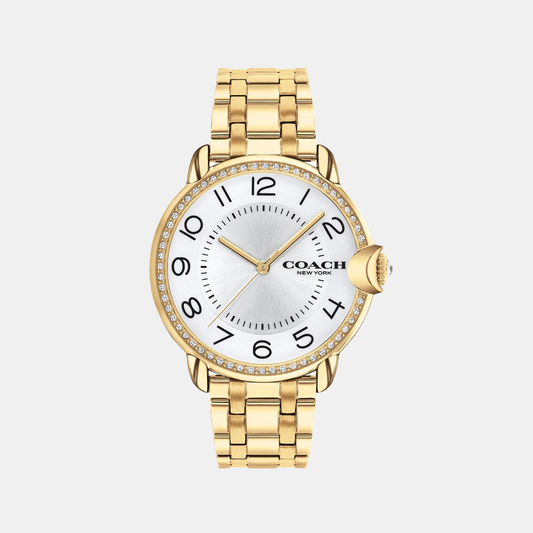 Arden Women Quartz Silver Dial Analog Stainless Steel Watch 14503810