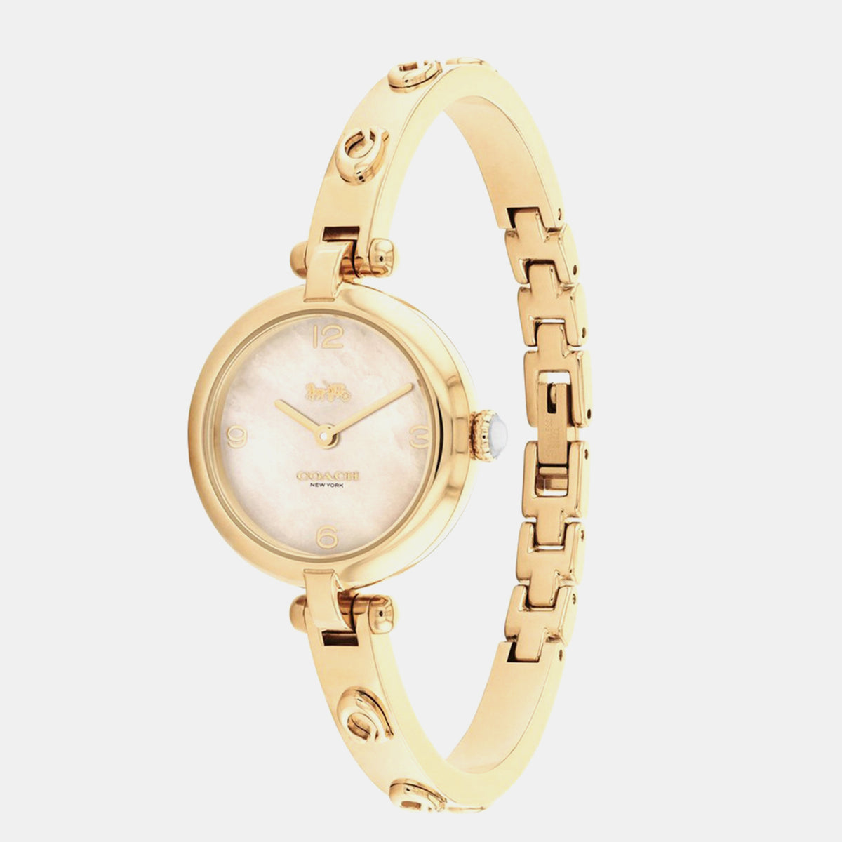 Cary Women Quartz Mother Of Pearl Dial Analog Stainless Steel Watch 14504006
