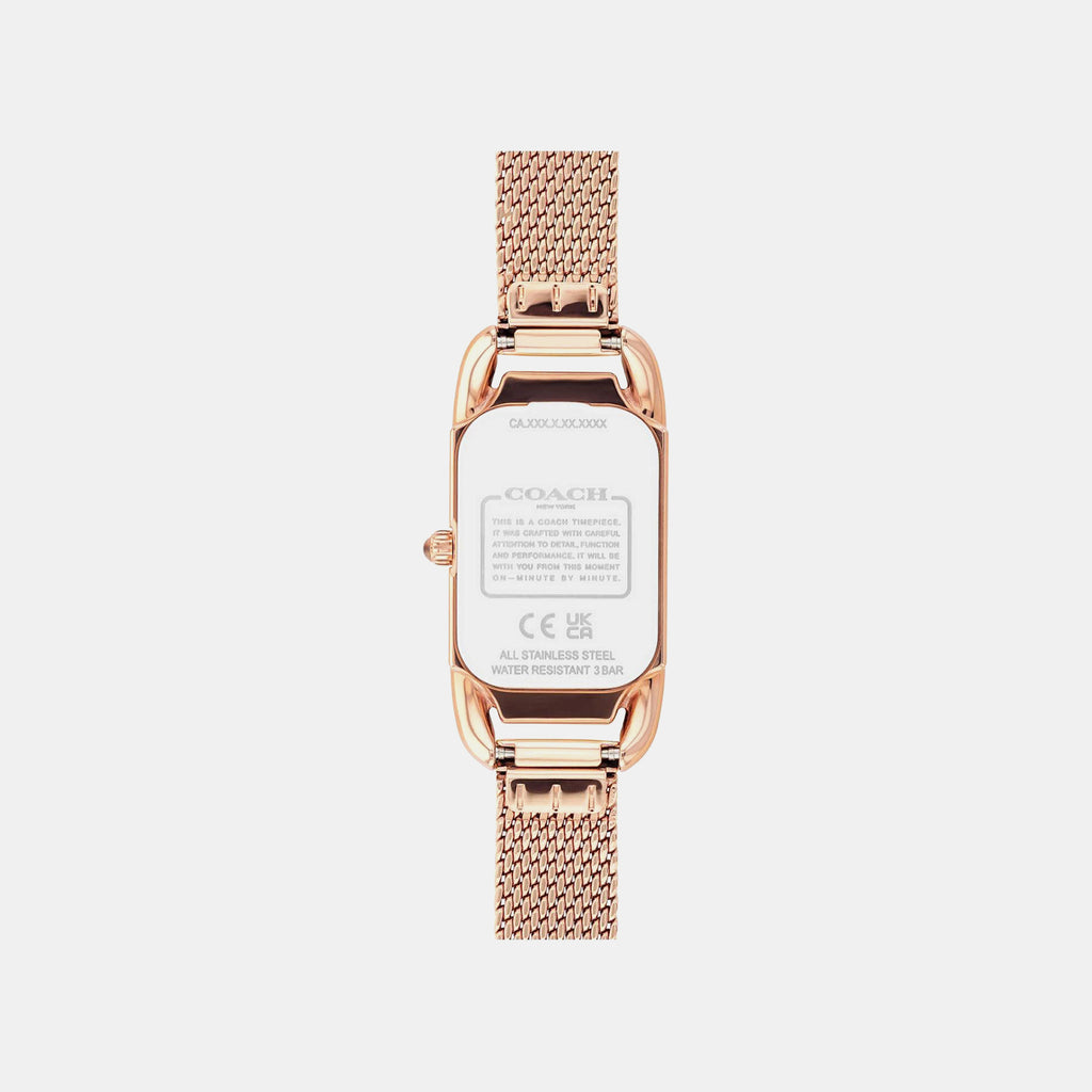 Cadie Women Quartz Green Dial Analog Mesh Watch 14504034