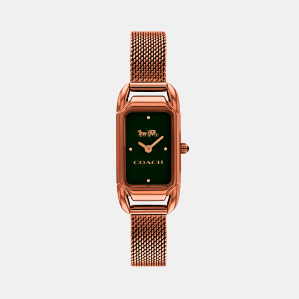 Cadie Women Quartz Green Dial Analog Stainless Steel Watch 14504034