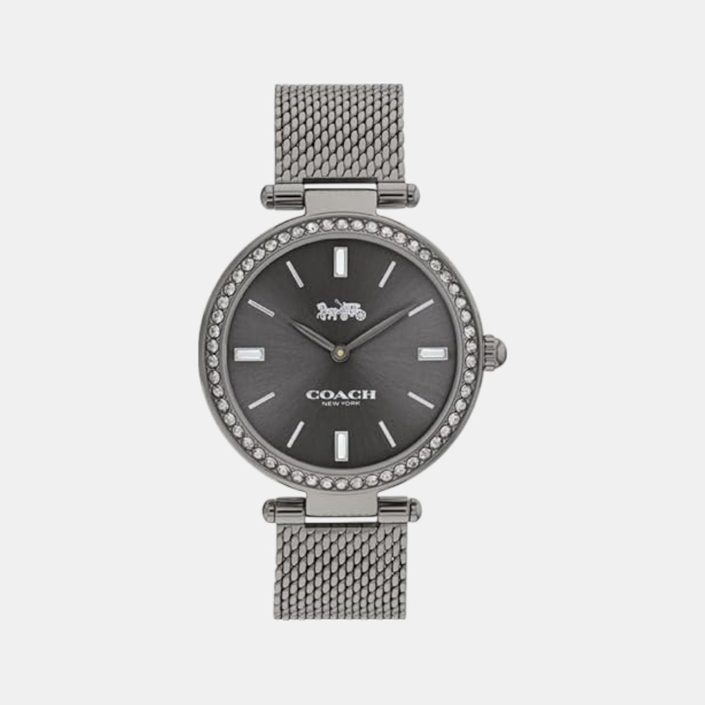 Park Women Quartz Grey Dial Analog Stainless Steel Watch 14504099