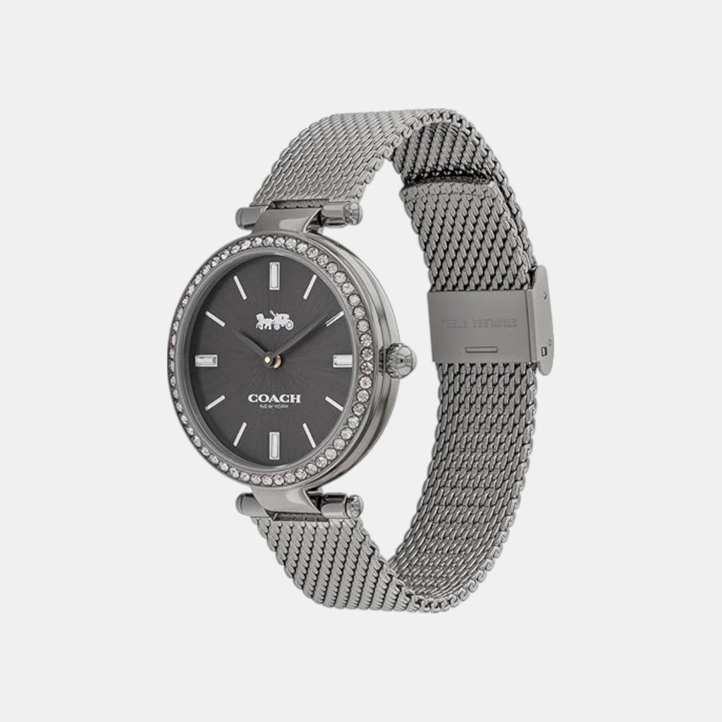 Park Women Quartz Grey Dial Analog Stainless Steel Watch 14504099