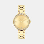 Chelsea Women Quartz Thin Gold Dial Analog Stainless Steel Watch 14504125