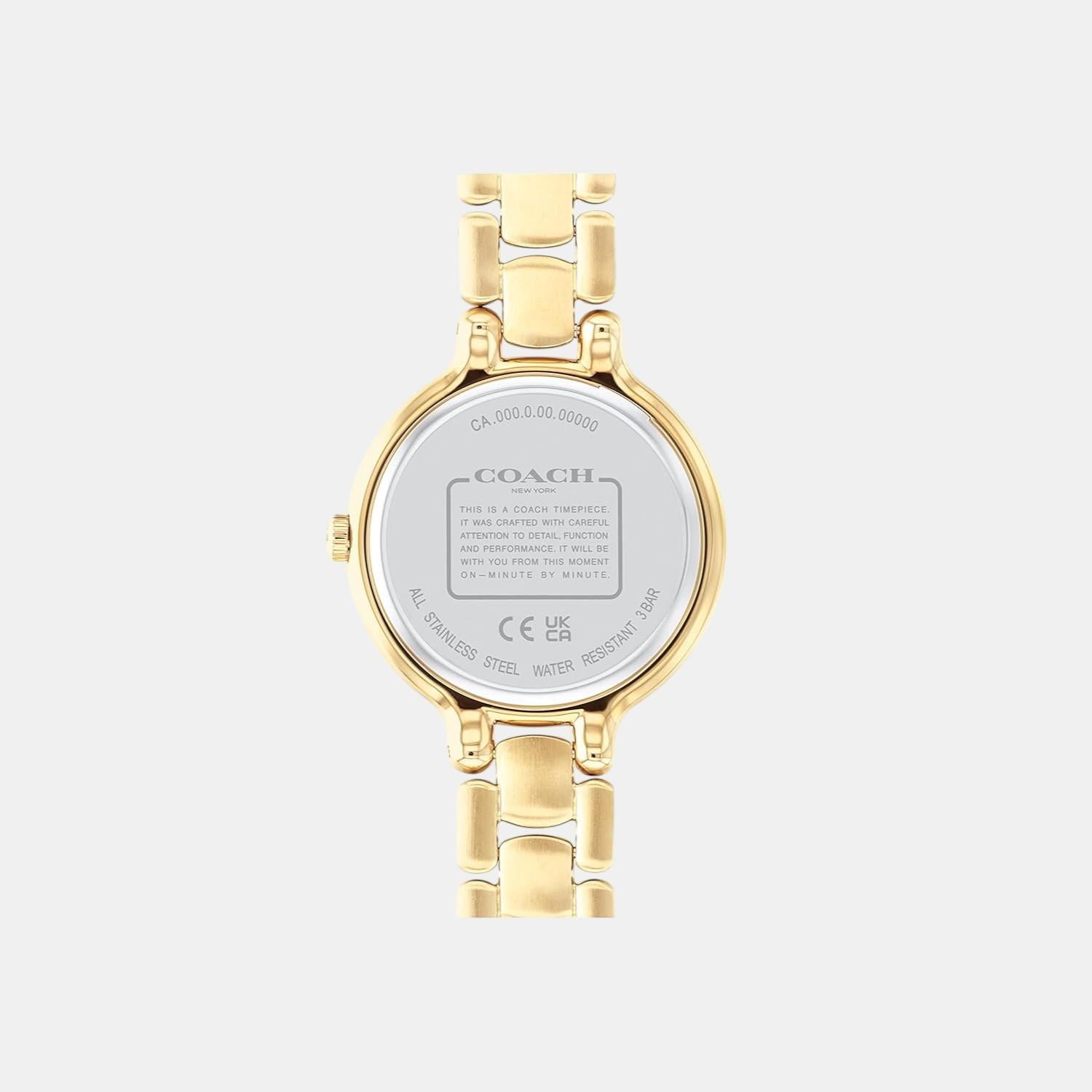Chelsea Women Quartz Thin Gold Dial Analog Stainless Steel Watch 14504125