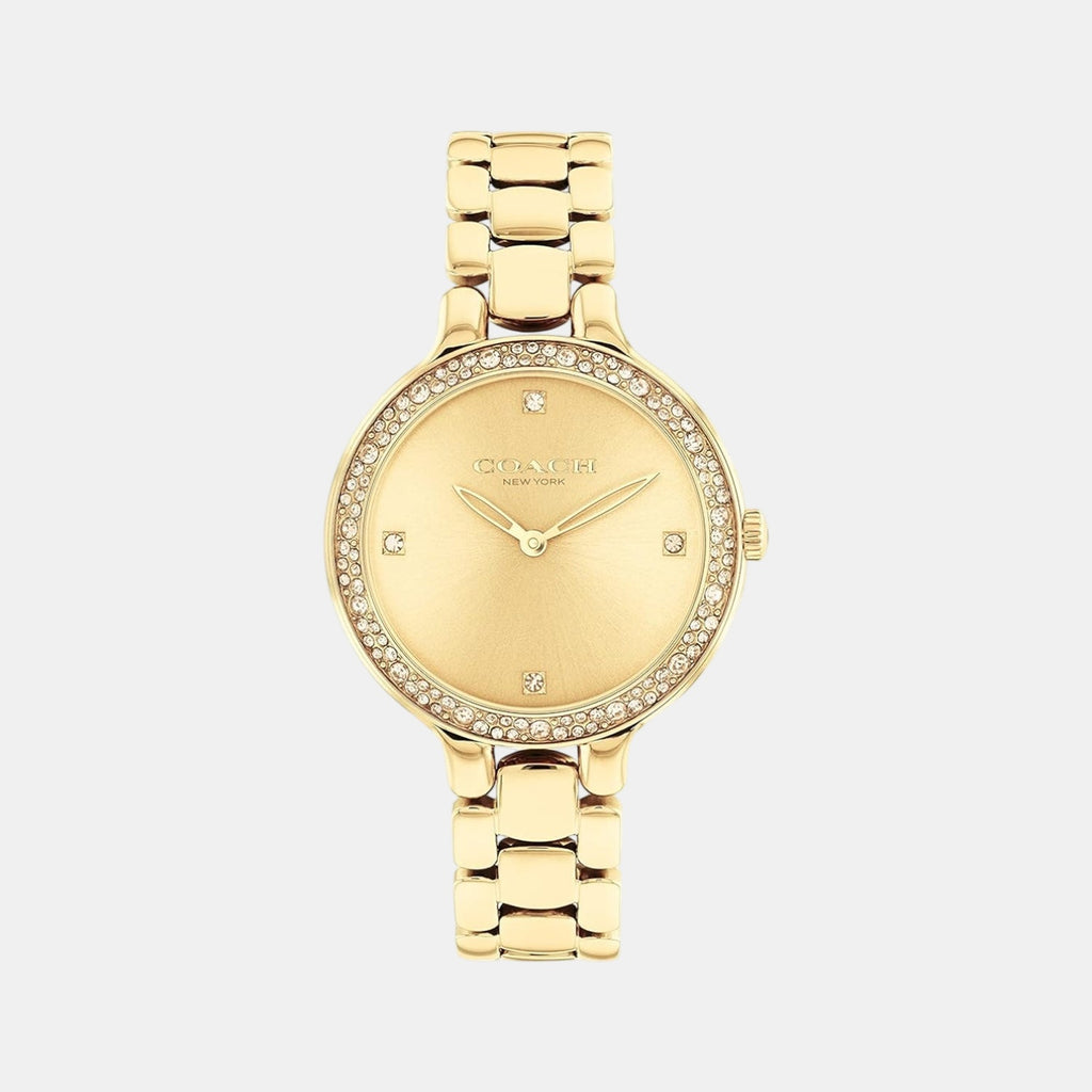 Chelsea Women Quartz Thin Gold Dial Analog Stainless Steel Watch 14504125