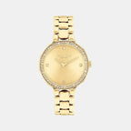 Chelsea Women Quartz Thin Gold Dial Analog Stainless Steel Watch 14504125