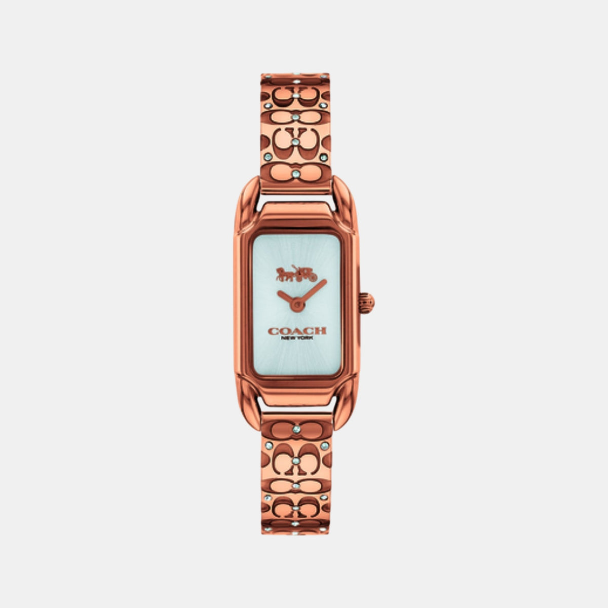 Cadie Women Quartz Silver Dial Analog Stainless Steel Watch 14504197