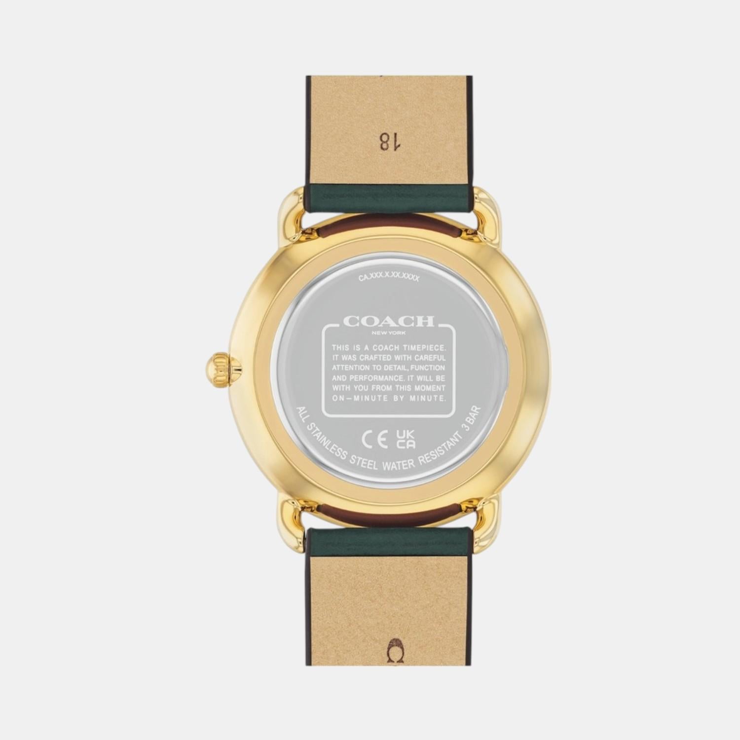 Elliot Women Quartz Gold Dial Analog Leather Watch 14504202