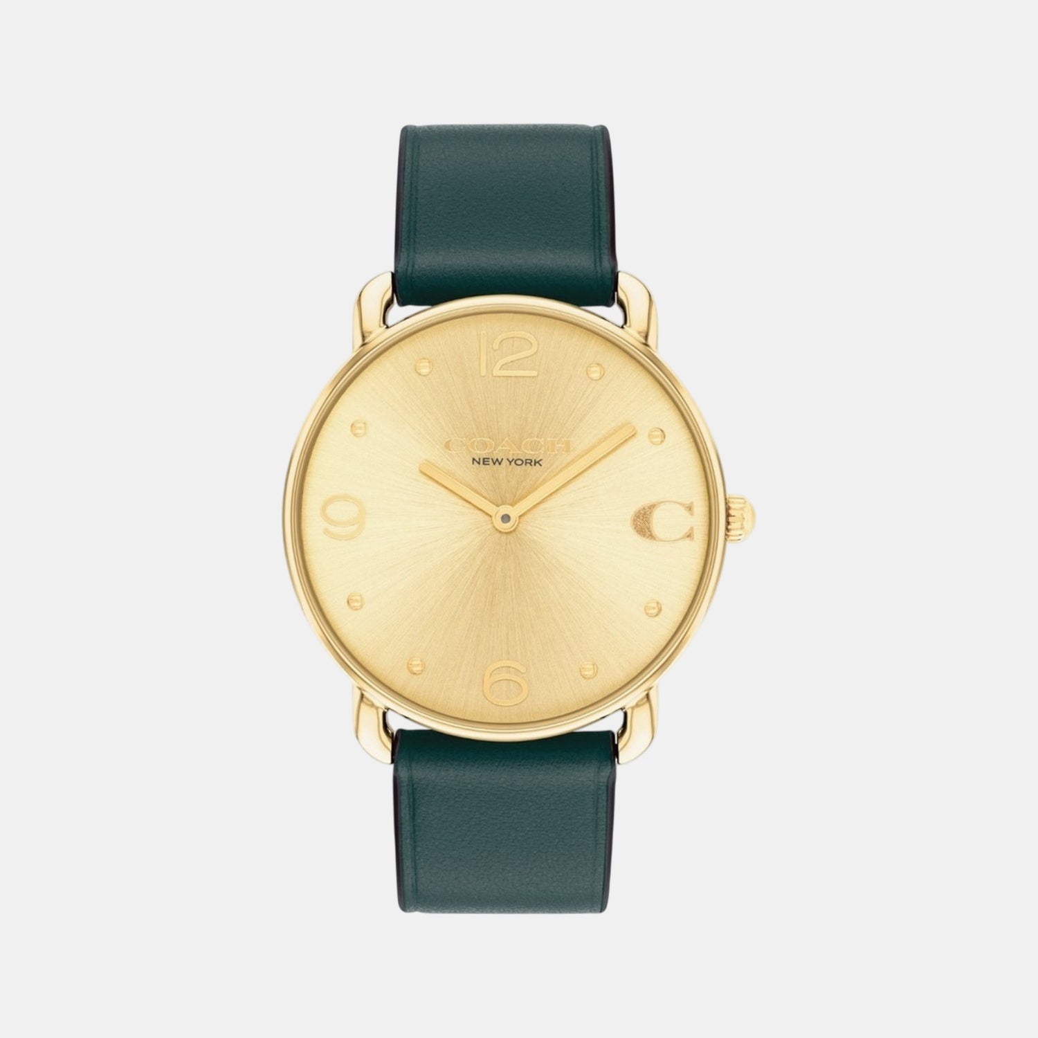 Elliot Women Quartz Gold Dial Analog Leather Watch 14504202