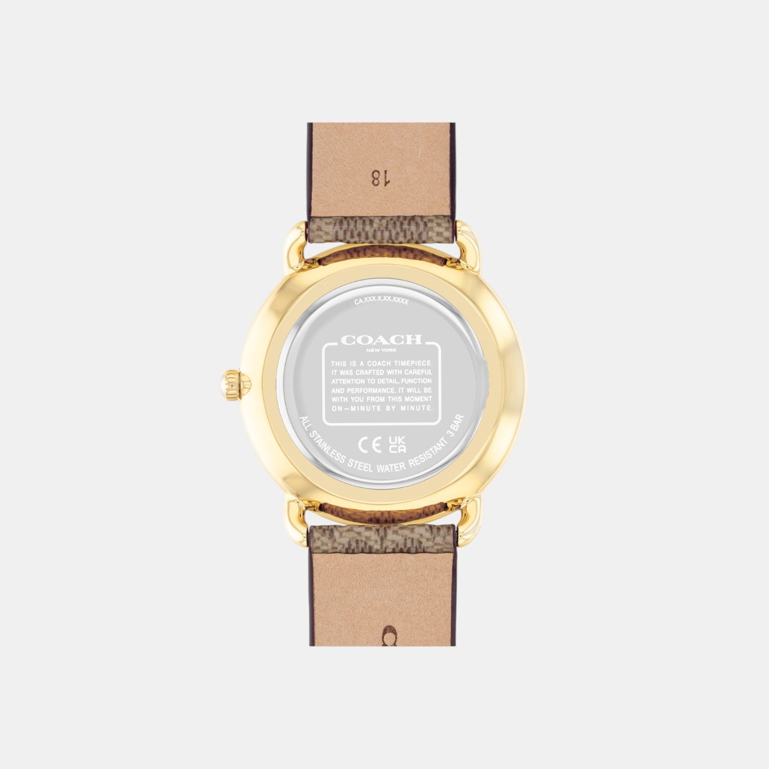 Elliot Women Quartz Silver Dial Analog Leather Watch 14504205