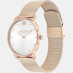 Elliot Women Quartz Silver & White Dial Analog Stainless Steel Watch 14504209