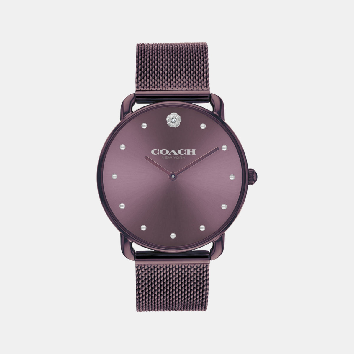 Elliot Women Quartz Purple Dial Analog Mesh Watch 14504211
