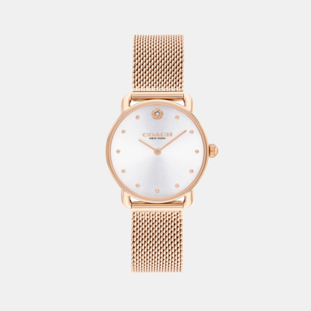 Elliot Women Quartz Silver Dial Analog Mesh Watch 14504222