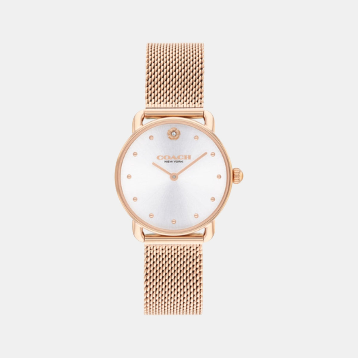 Elliot Women Quartz Silver Dial Analog Mesh Watch 14504222