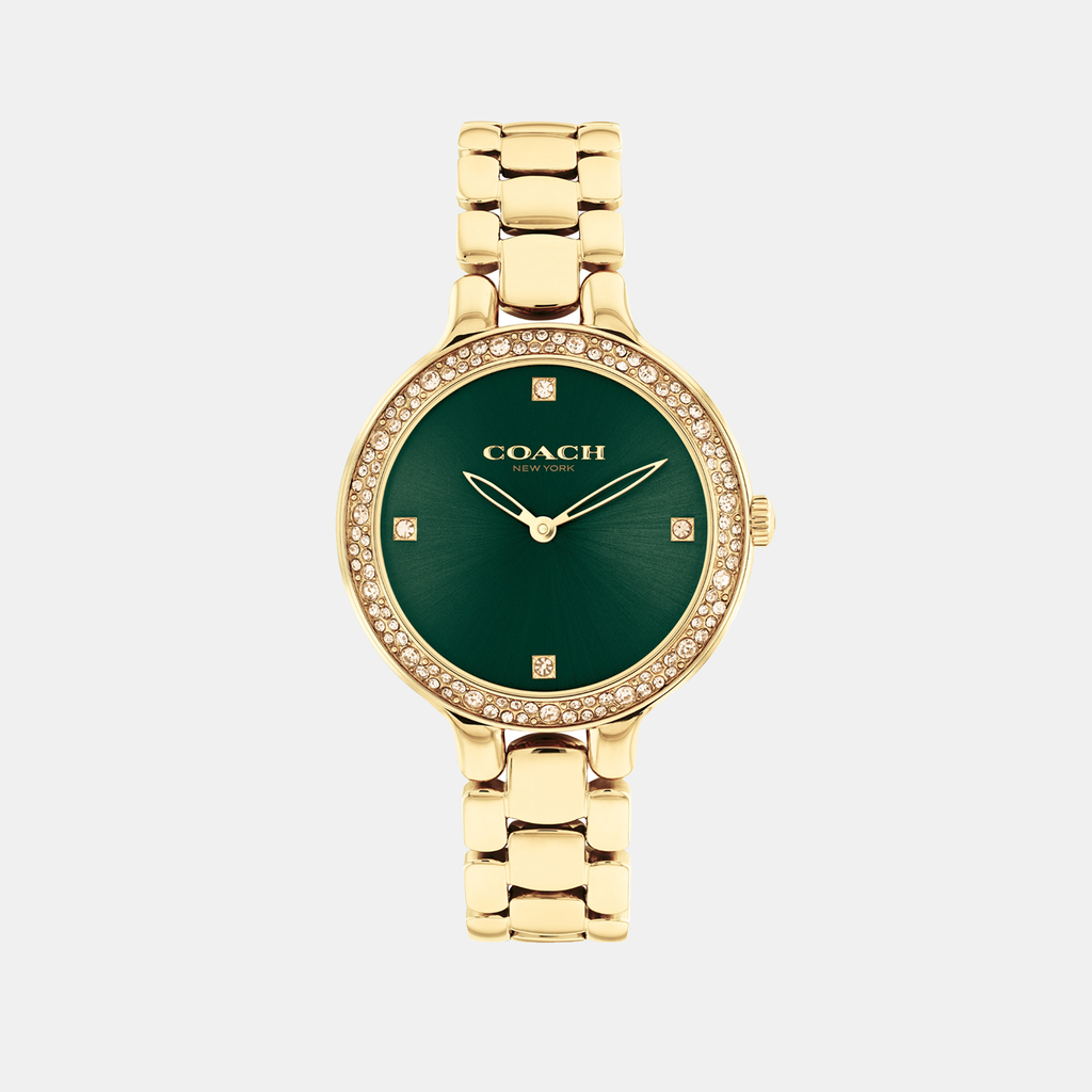 Coach Round Green Analog watch