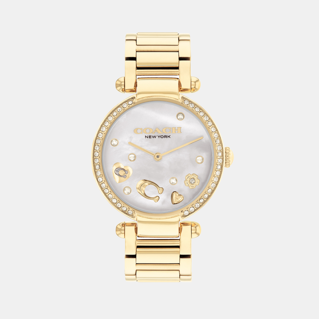 Coach Round White Mother Of Pearl Analog watch
