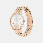 Elliot Women Quartz Silver Dial Analog Stainless Steel Watch 14504285